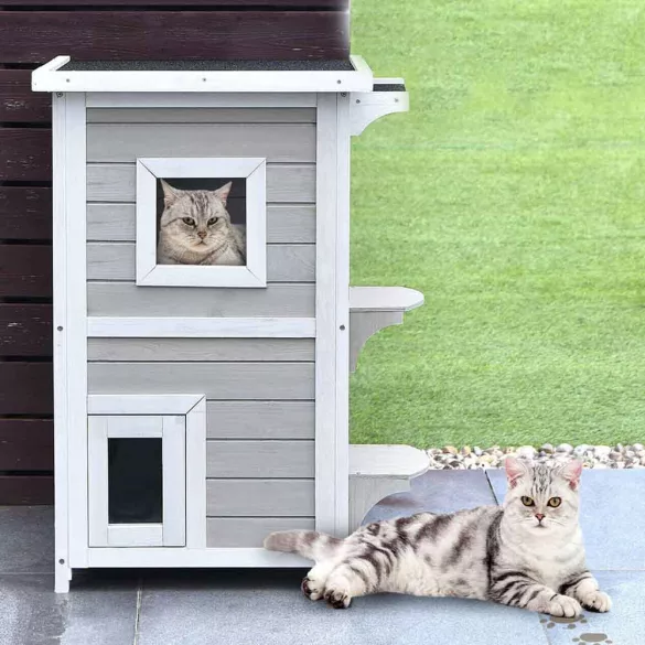 2-level cat house