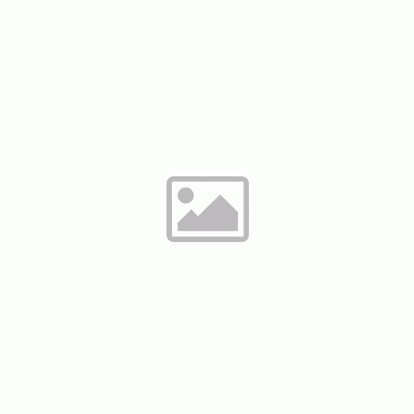 Light Curtain 300 LED, 3x3m, Cool White