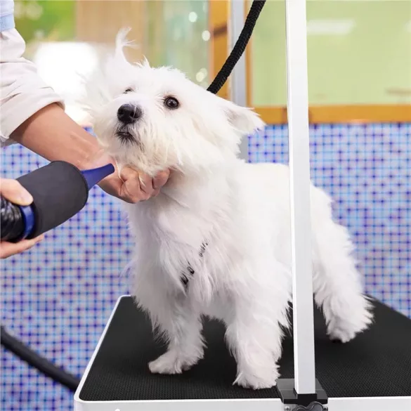 Pet Grooming Table with Two Restraint Arms