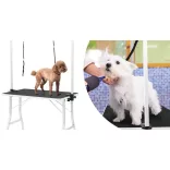 Pet Grooming Table with Two Restraint Arms