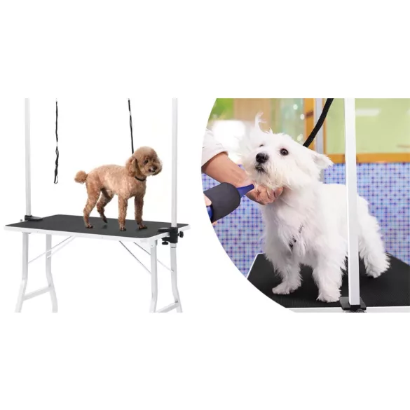 Pet Grooming Table with Two Restraint Arms