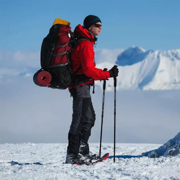 Telescopic Trekking Poles, 1 Pair