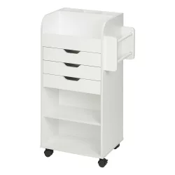 Rolling Storage Cabinet with Shelves and Drawers