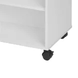 Rolling Storage Cabinet with Shelves and Drawers