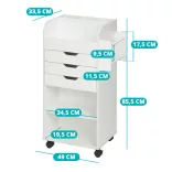 Rolling Storage Cabinet with Shelves and Drawers