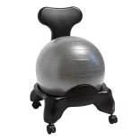Fitness Chair with 55 cm Ball and Pump