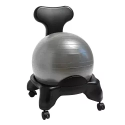 Fitness Chair with 55 cm Ball and Pump