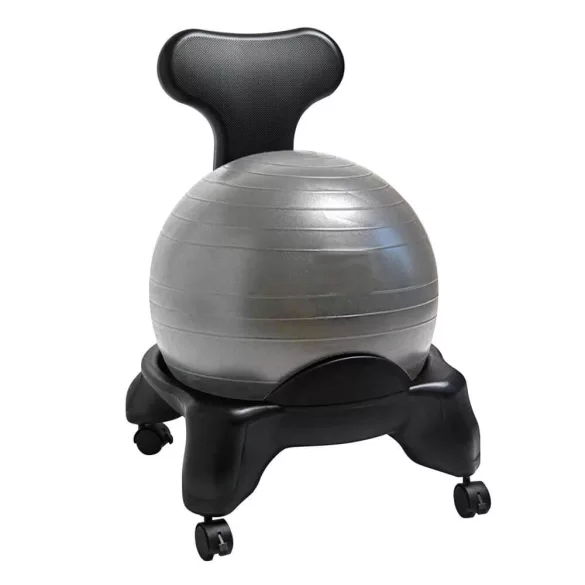 Fitness Chair with 55 cm Ball and Pump
