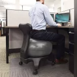 Fitness Chair with 55 cm Ball and Pump