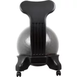 Fitness Chair with 55 cm Ball and Pump