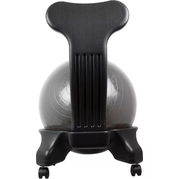 Fitness Chair with 55 cm Ball and Pump