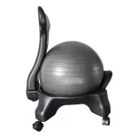 Fitness Chair with 55 cm Ball and Pump