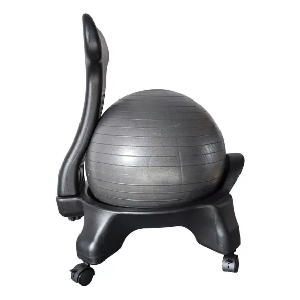 Fitness Chair with 55 cm Ball and Pump