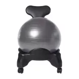 Fitness Chair with 55 cm Ball and Pump