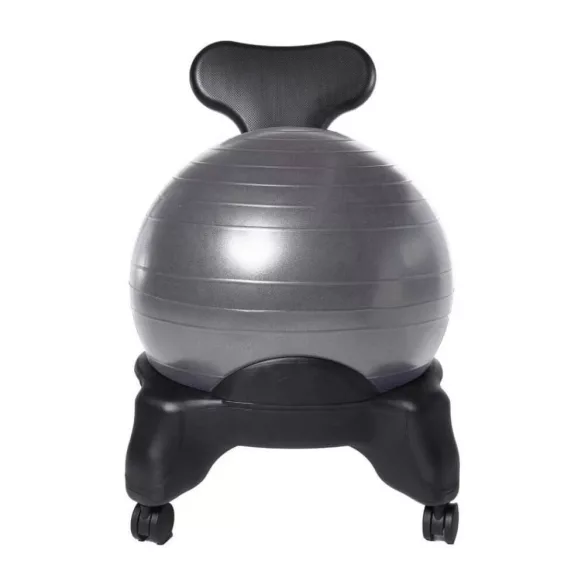 Fitness Chair with 55 cm Ball and Pump