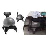 Fitness Chair with 55 cm Ball and Pump