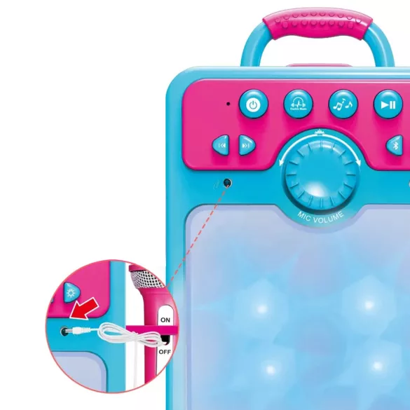 Karaoke Set with 2 Microphones