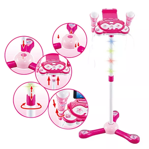 Standing Microphone Set for 2