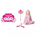 Standing Microphone Set for 2