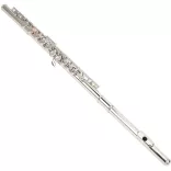 Flute set with various accessories in a shoulder bag