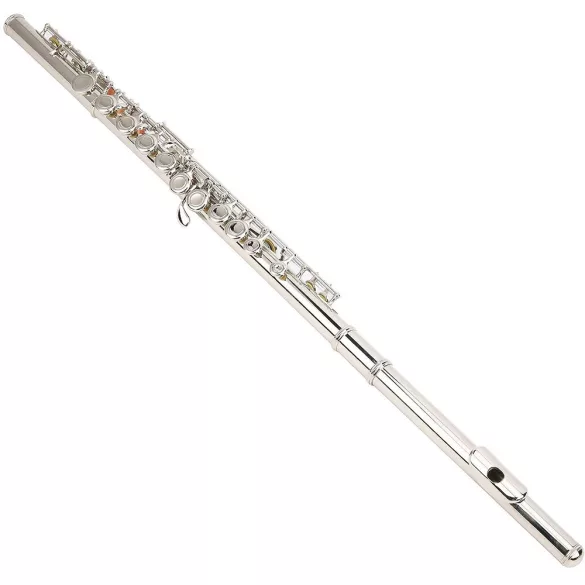 Flute set with various accessories in a shoulder bag