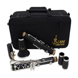 B clarinet with accessories in a shoulder bag