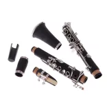 B clarinet with accessories in a shoulder bag