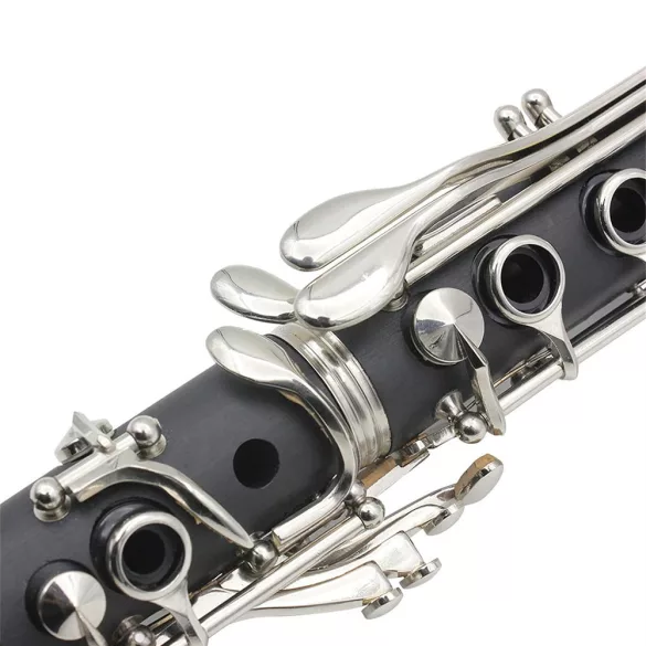 B clarinet with accessories in a shoulder bag