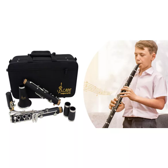 B clarinet with accessories in a shoulder bag