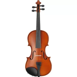 Acoustic Violin Set in a Case