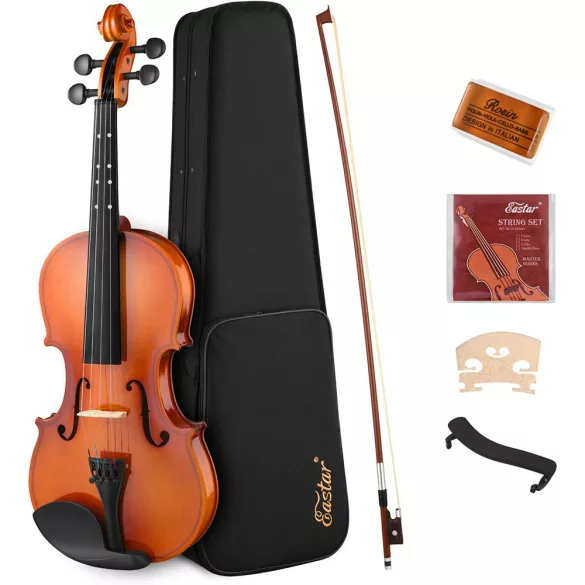 Acoustic Violin Set in a Case