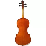 Acoustic Violin Set in a Case
