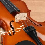Acoustic Violin Set in a Case
