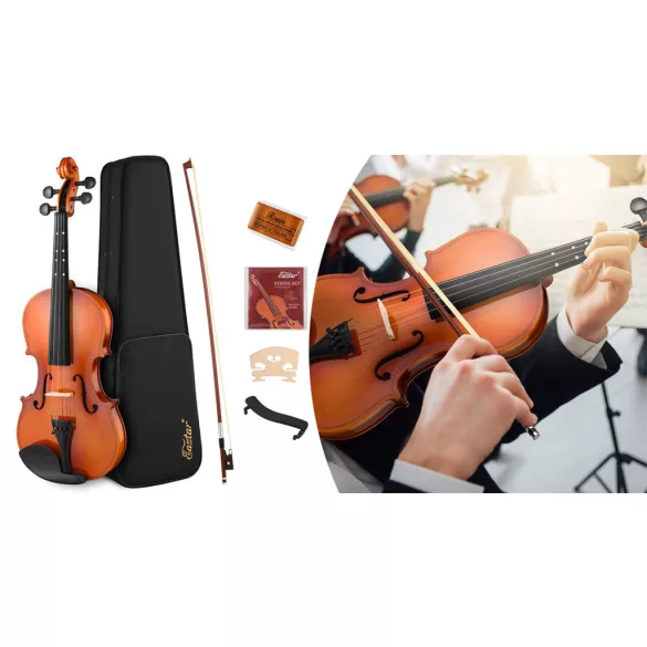 Acoustic Violin Set in a Case