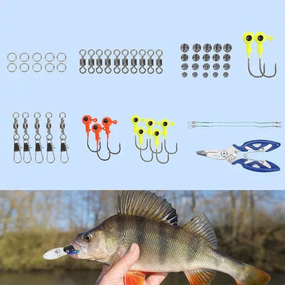 Fishing Bait and Hook Set