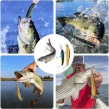 Fishing Bait and Hook Set