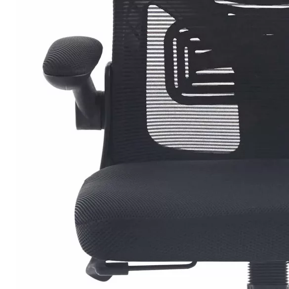 Ergonomic Office Chair with Flip-Up Armrests, Black