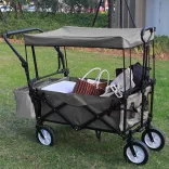 Folding Cart with Canopy, Pullable and Pushable, Gray