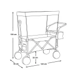 Folding Cart with Canopy, Pullable and Pushable, Gray