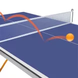 Indoor Ping Pong Table with Net