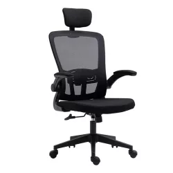   Ergonomic Office Chair with Lumbar Support and Headrest, Black
