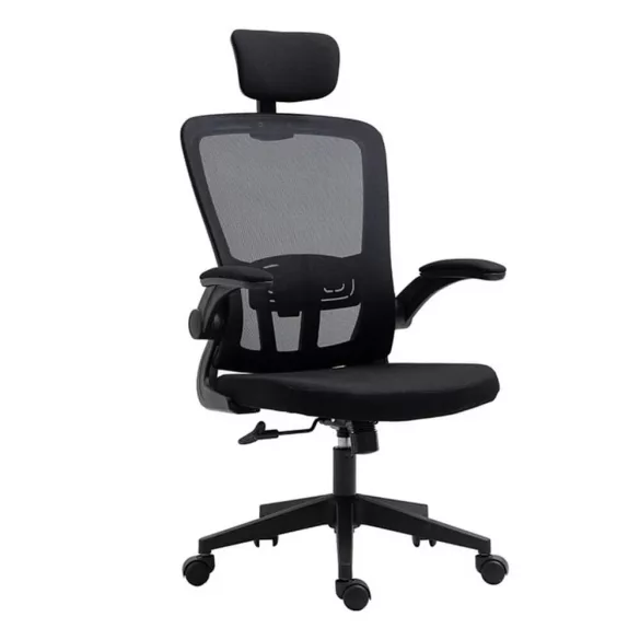Ergonomic Office Chair with Lumbar Support and Headrest, Black
