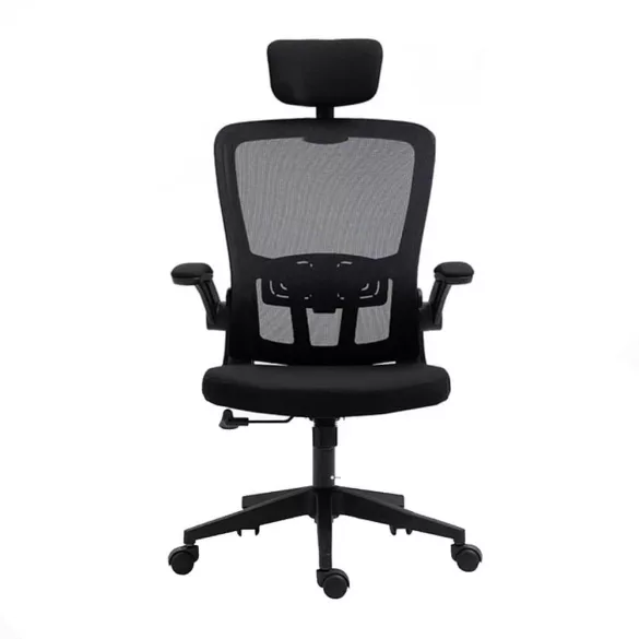 Ergonomic Office Chair with Lumbar Support and Headrest, Black
