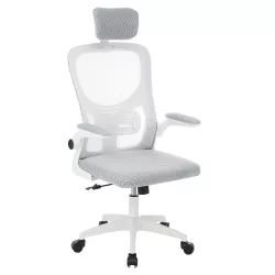   Ergonomic Office Chair with Lumbar Support and Headrest, Gray