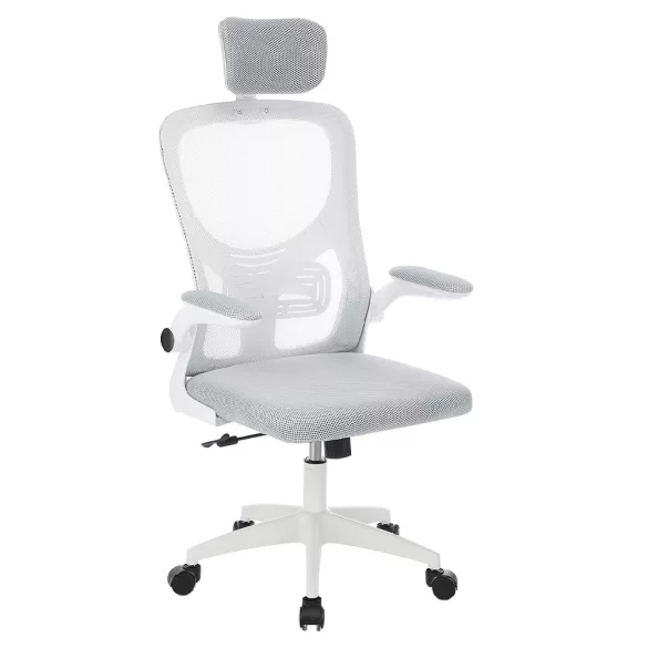 Ergonomic Office Chair with Lumbar Support and Headrest, Gray