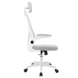 Ergonomic Office Chair with Lumbar Support and Headrest, Gray