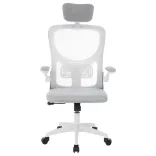 Ergonomic Office Chair with Lumbar Support and Headrest, Gray