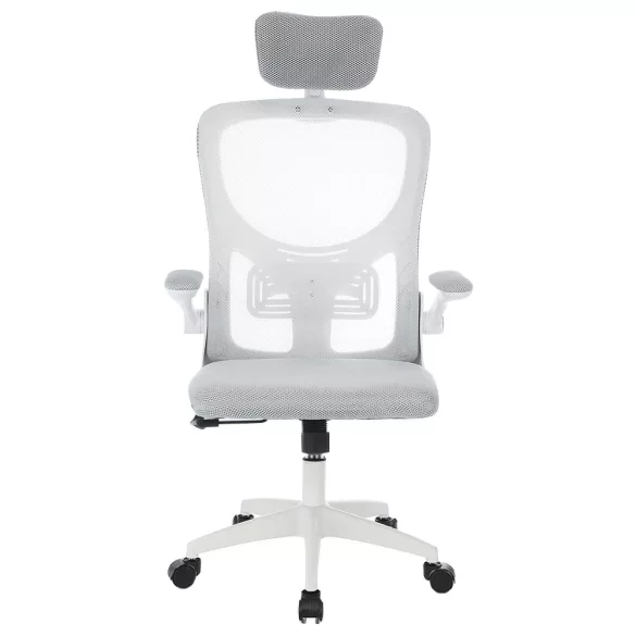 Ergonomic Office Chair with Lumbar Support and Headrest, Gray