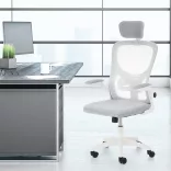 Ergonomic Office Chair with Lumbar Support and Headrest, Gray