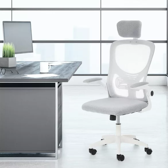 Ergonomic Office Chair with Lumbar Support and Headrest, Gray